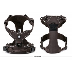 HARNAIS DE DRESSAGE ET PROMENADE POUR CHIEN REGLABLE TRUELOVE "COUNTRY"