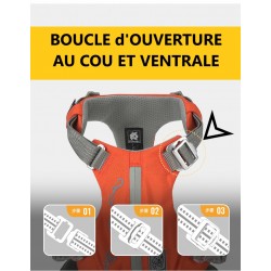 HARNAIS TACTIQUE ANTI FUGUE WINHYEPET SAFETY 3 POINTS